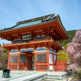 【大阪観光】4月はここをチェック！
