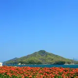 【香川観光】3月はここをチェック！