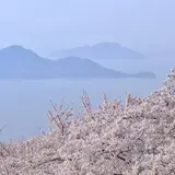 【香川観光】4月はここをチェック！