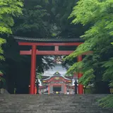 【鹿児島観光】1月はここをチェック！
