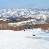【長野観光】3月はここをチェック！