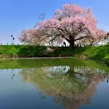 【福岡観光】4月はここをチェック！