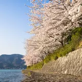 【滋賀観光】4月はここをチェック！