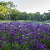 【宮崎観光】5月はここをチェック！