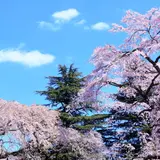 【宮城観光】4月はここをチェック！