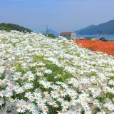 【香川観光】5月はここをチェック！