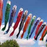 【宮城観光】5月はここをチェック！