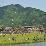 【愛媛観光】5月はここをチェック！