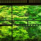 【京都観光】5月はここをチェック!