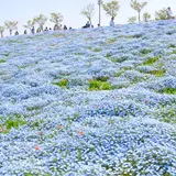 【大阪観光】5月はここをチェック！