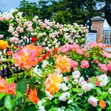【群馬観光】5月はここをチェック！