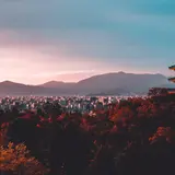 01 / 概要