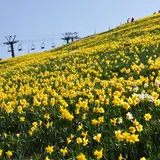 【滋賀観光】5月はここをチェック！