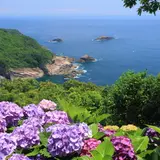【宮崎観光】6月はここをチェック