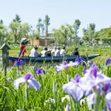 【千葉観光】6月はここをチェック！