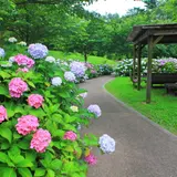 【香川観光】6月はここをチェック！