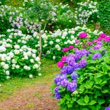【群馬観光】6月はここをチェック！
