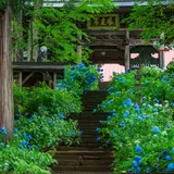 【長野観光】6月はここをチェック！
