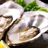 【広島観光】7月はここをチェック！