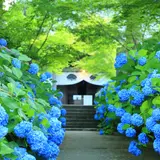 【秋田観光】7月はここをチェック！