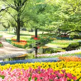 東京でおすすめの公園25選