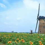 【千葉観光】8月はここをチェック！