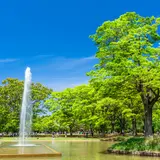 【代々木公園】電車やバスでの行き方をご紹介！	