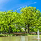 【代々木公園】駐車場情報を徹底紹介！	