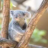 【多摩動物公園】駐車場情報を徹底紹介！