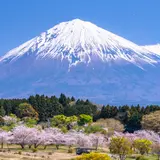 静岡県の新型コロナウイルス感染症対策と観光の最新情報（9月27日更新）