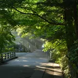 軽井沢旅行ガイド！人気エリアや見どころ・アクセス情報が満載！