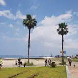 【泉南りんくう公園の楽しみ方徹底ガイド】リラックスとアクティビティを融合させた新施設を徹底紹介します！