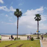 【泉南りんくう公園の楽しみ方徹底ガイド】リラックスとアクティビティを融合させた新施設を徹底紹介します！