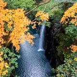 【宮崎観光】10月はここをチェック！