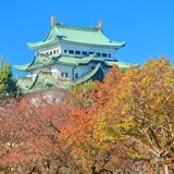 【名古屋観光】2020年10月はここをチェック！