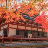 【滋賀観光】10月はここをチェック！