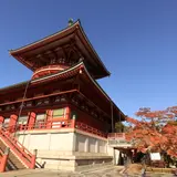 【千葉観光】11月はここをチェック！