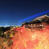 【京都観光】11月はここをチェック！