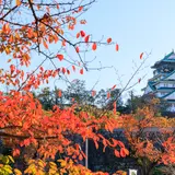 【大阪観光】11月はここをチェック！