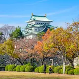 【名古屋観光】11月はここをチェック！