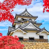 【滋賀観光】11月はここをチェック！