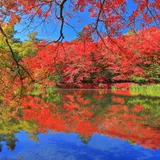 【長野観光】11月はここをチェック！