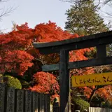 【香川観光】11月はここをチェック！