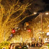【東京観光】12月はここをチェック！