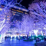 【福岡観光】12月はここをチェック！