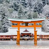 【広島観光】12月はここをチェック！