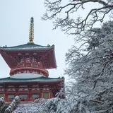 【千葉観光】12月はここをチェック！