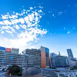 複数スポットにアクセスできる東京の「ハブ駅」を押さえる！