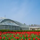京都でおすすめの植物園10選