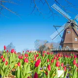 おすすめ千葉公園スポット14選